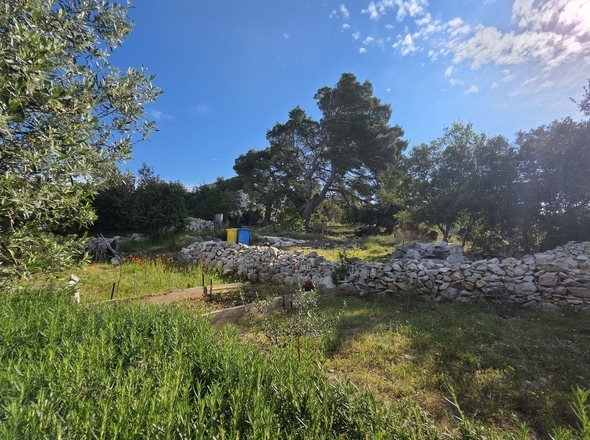 panorama-scouting-H3930-9