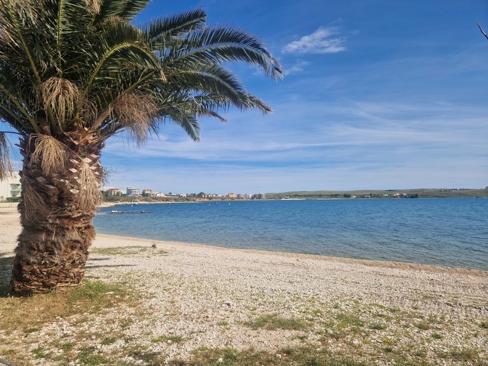 panorama-scouting-A3981-7