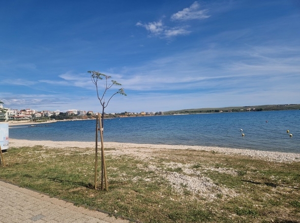 panorama-scouting-A3981-8