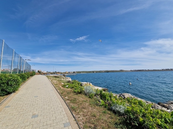 panorama-scouting-A3981-9