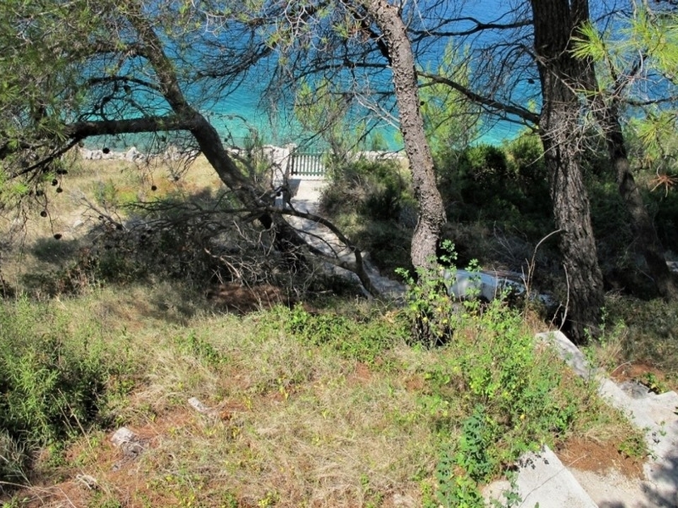 panorama-scouting-H4004-5
