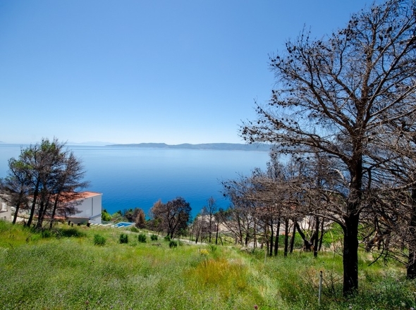 panorama-scouting-G491-1