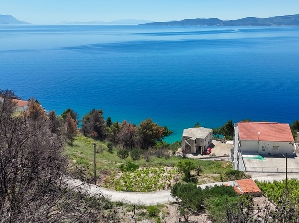 panorama-scouting-G491-3