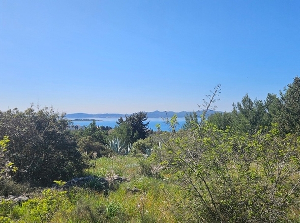 panorama-scouting-G493-5