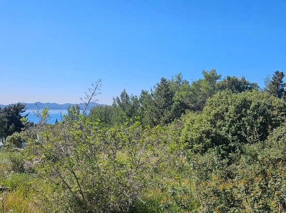 panorama-scouting-G493-6