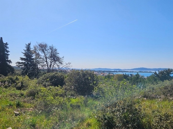 panorama-scouting-G493-4