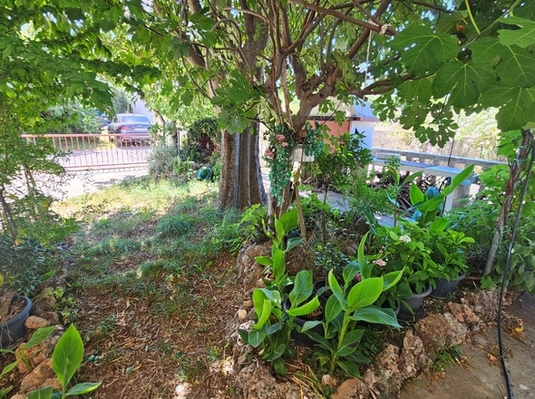 panorama-scouting-H4066-41